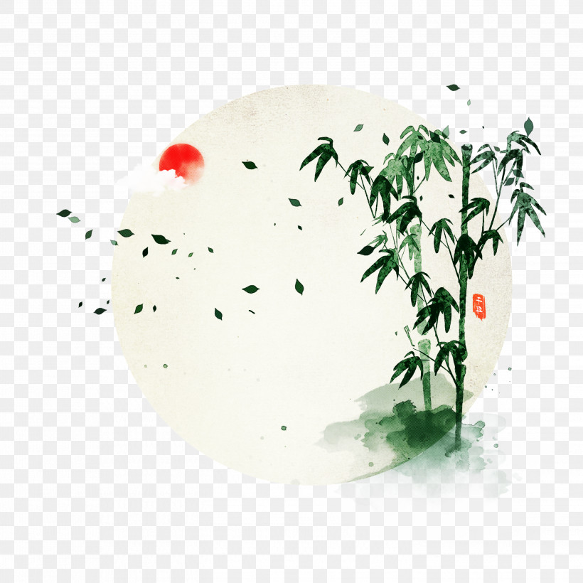Plant, PNG, 2896x2896px, Plant Download Free