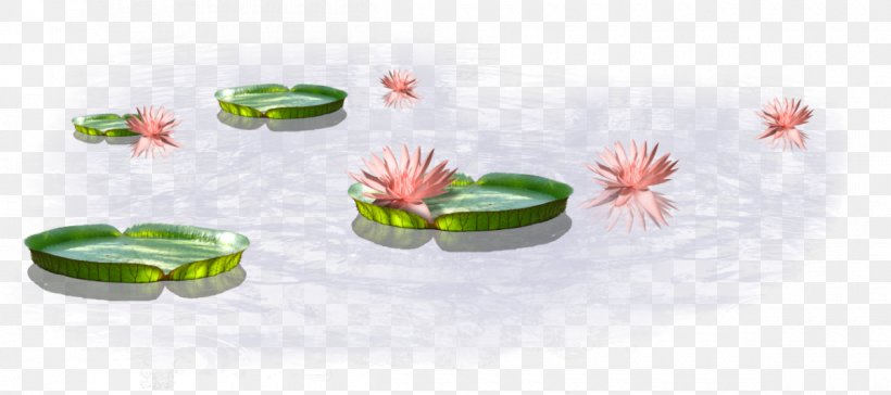 Clip Art Vector Graphics Image Algae, PNG, 1200x534px, Algae, Amphibian, Aquatic Plant, Aquatic Plants, Art Download Free