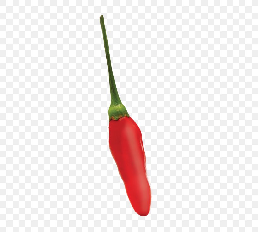 Habanero Tabasco Pepper Jalapeño Serrano Pepper Cayenne Pepper, PNG, 442x737px, Habanero, Avery Island, Bell Peppers And Chili Peppers, Capsicum, Capsicum Annuum Download Free