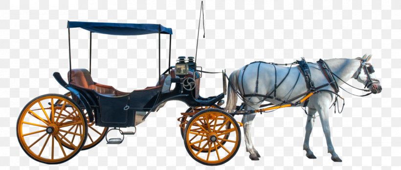 Horse And Buggy Carriage Horse-drawn Vehicle, PNG, 1371x582px, Horse, Bit, Blinkers, Bridle, Car Download Free