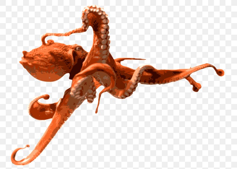 Octopus Clip Art, PNG, 788x585px, Octopus, Cephalopod, Digital Media, Invertebrate, Organism Download Free
