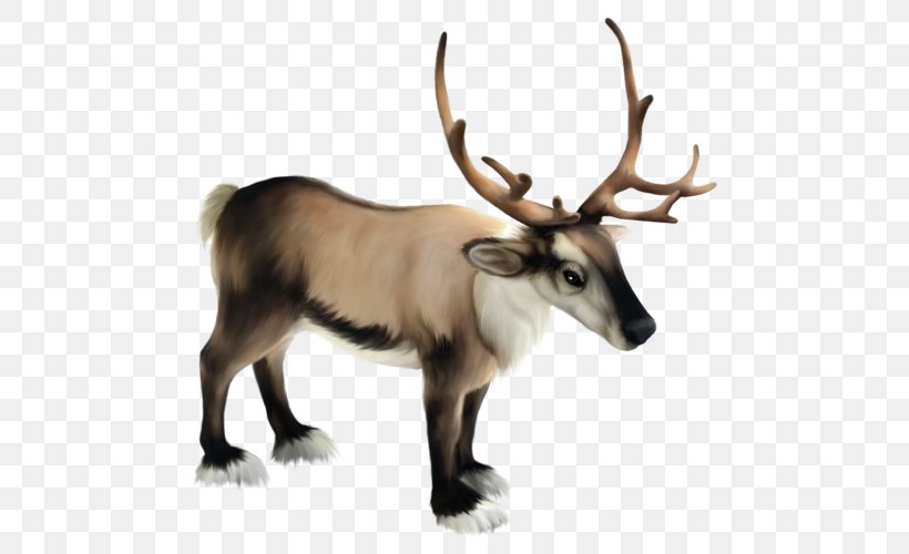 Reindeer Santa Claus Antler Clip Art, PNG, 500x500px, Reindeer, Antler, Cattle Like Mammal, Christmas, Deer Download Free