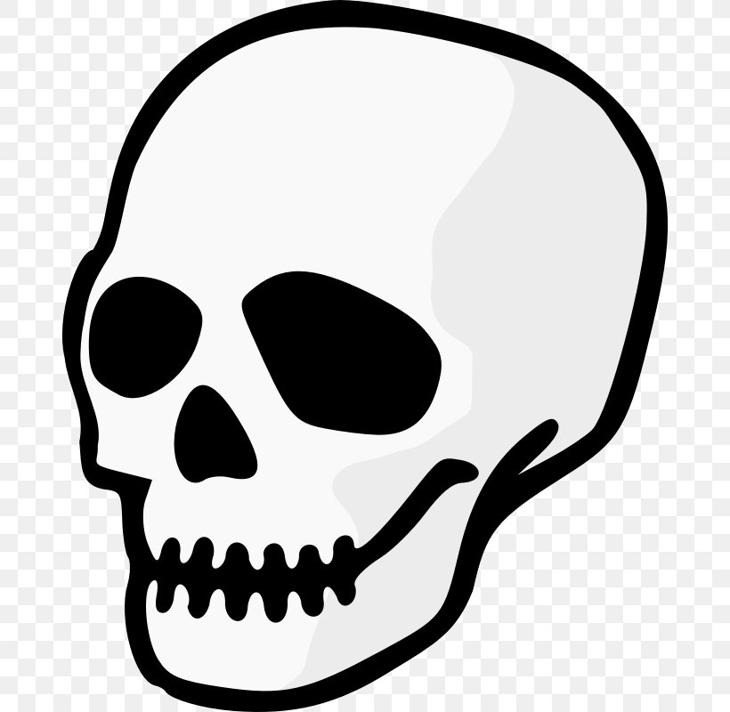 Skull Clip Art, PNG, 800x800px, Skull, Artwork, Black And White, Bone, Drawing Download Free