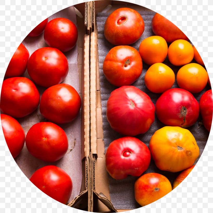 Tomato Refrigerator Wrap Flavr Savr Food, PNG, 1079x1079px, Tomato, Bush Tomato, Flavor, Flavr Savr, Food Download Free