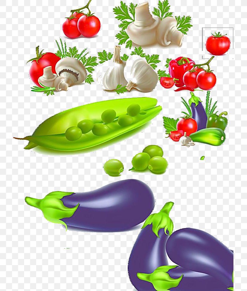 Vegetable Food, PNG, 731x966px, Vegetable, Clip Art, Diet Food, Floral Design, Flower Download Free