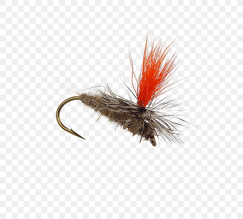 Artificial Fly Hare's Ear Insect Nymph, PNG, 555x741px, Artificial Fly, Brand, Brand Ambassador, Crane Fly, Fishing Bait Download Free