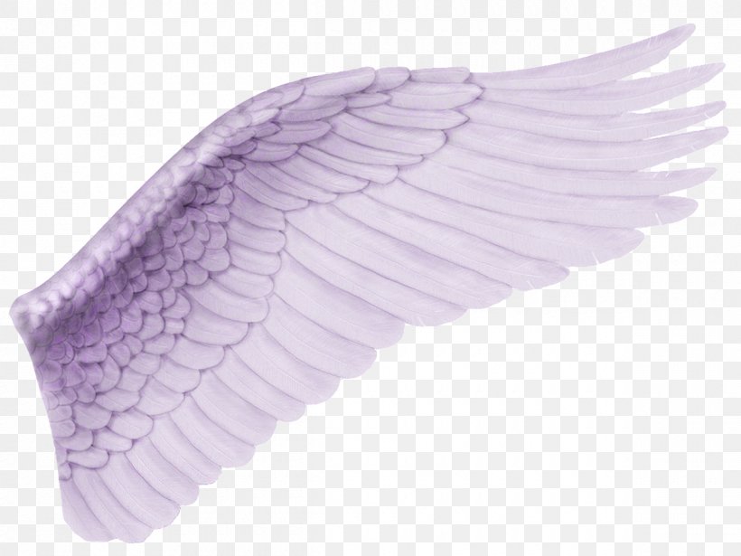 Drawing Clip Art, PNG, 1200x900px, Drawing, Angel, Biscuits, Lilac, Presentation Download Free