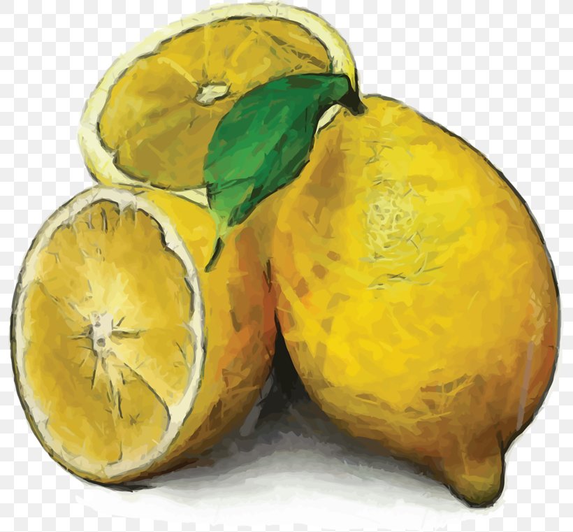 Lemon Watercolor Painting Still Life, PNG, 800x761px, Lemon, Citric Acid, Citron, Citrus, Citrus Junos Download Free