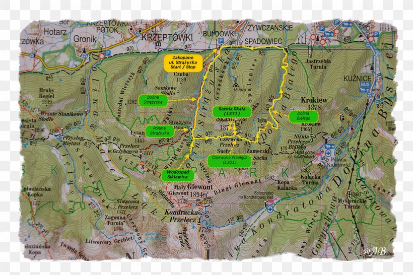 Map Tuberculosis, PNG, 1024x682px, Map, Tuberculosis Download Free