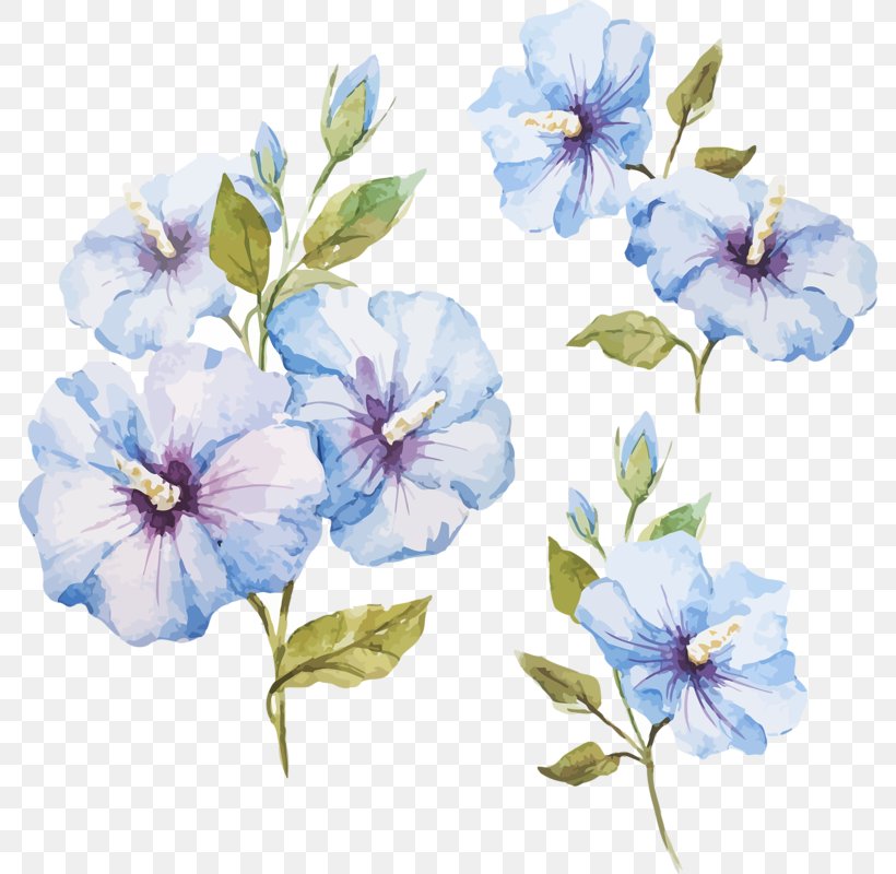 Watercolour Flowers Watercolor Painting Stock Photography, PNG, 786x800px, Watercolour Flowers, Art, Blue, Floral Design, Flower Download Free