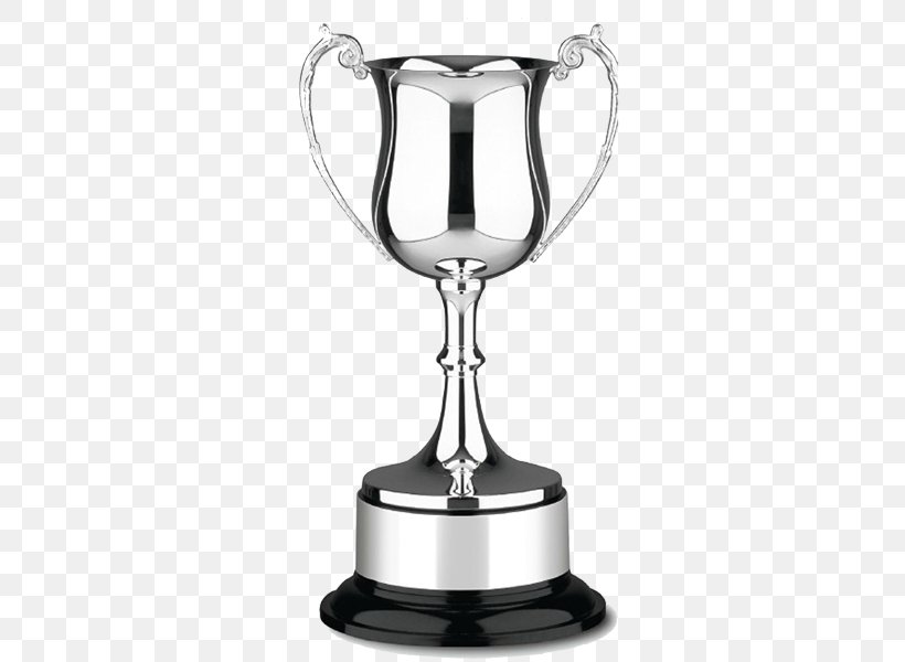 Witney Trophy Centre Cup Award Medal, PNG, 450x600px, Witney Trophy Centre, Award, Commemorative Plaque, Craft, Cup Download Free