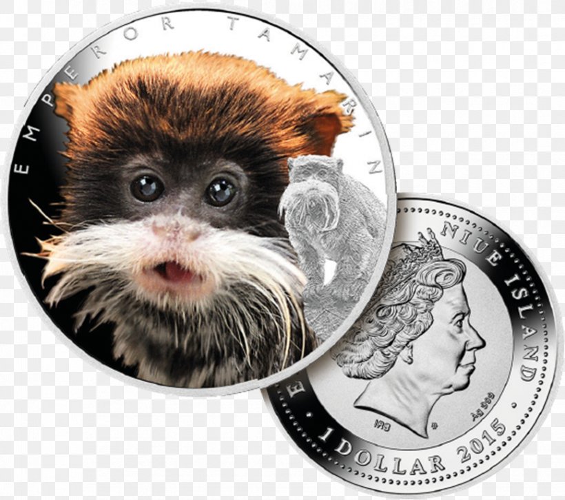 Bearded Emperor Tamarin Silver Coin Monkey, PNG, 867x768px, Emperor Tamarin, Animal, Coin, Endangered Species, Gold Download Free