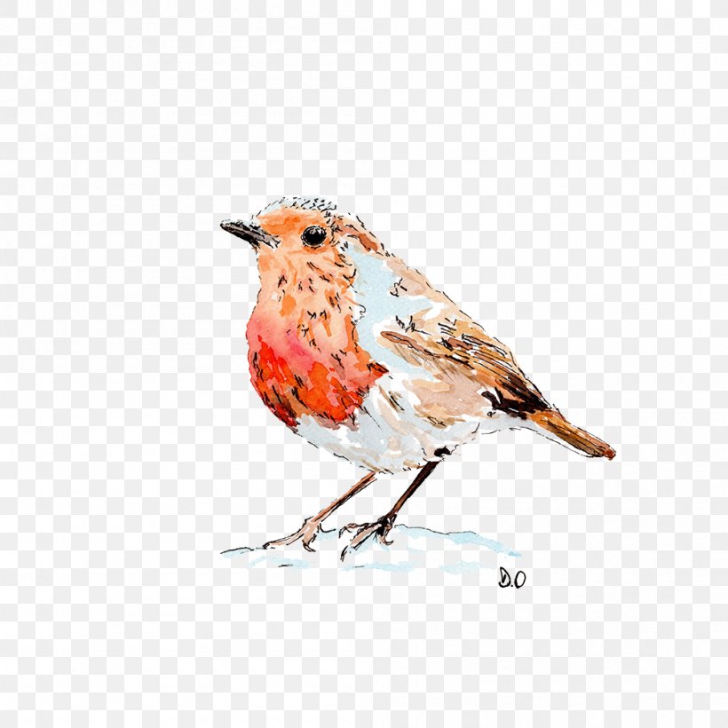 European Robin Drawing Paper Bird Watercolor Painting, PNG, 999x1000px, European Robin, Beak, Bird, Christmas Card, Crowned Pigeon Download Free