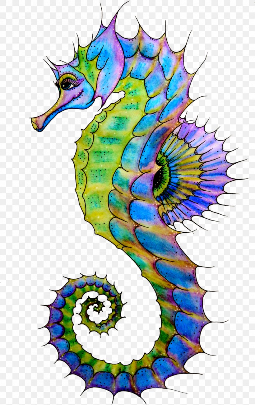 Fish Cartoon, PNG, 1004x1595px, Northern Seahorse, Animal, Bonyfish, Common Seadragon, Drawing Download Free