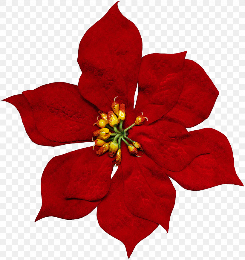 Flower Petal Red Plant Poinsettia, PNG, 2209x2346px, Flower, Cinquefoil, Perennial Plant, Petal, Plant Download Free