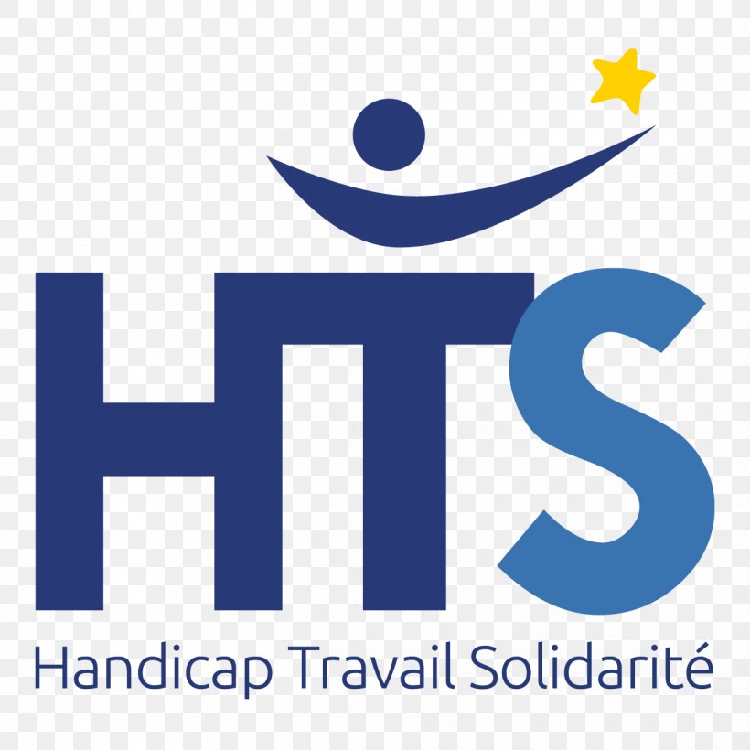 Handicap Travail Solidarité Disability Voluntary Association Organization Volunteering, PNG, 1250x1250px, Disability, Afacere, Area, Brand, Don Download Free