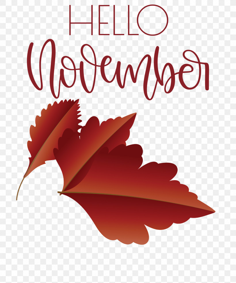 Hello November November, PNG, 2499x3000px, Hello November, Biology, Leaf, Meter, November Download Free