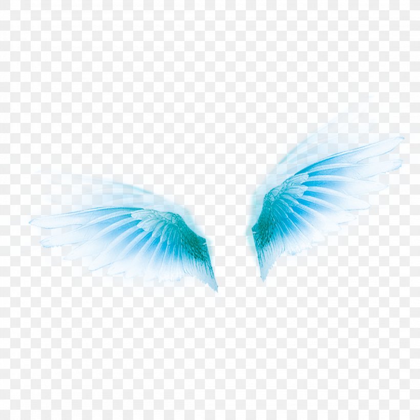 Wing Icon, PNG, 2200x2200px, Wing, Beak, Blue, Computer, Feather Download Free