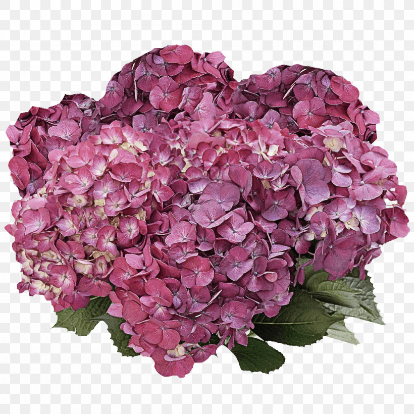 Flower Bouquet, PNG, 1000x1000px, Hydrangea, Artificial Flower, Cut Flowers, Flower, Flower Bouquet Download Free