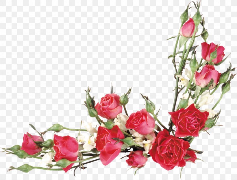 Garden Roses Flower Clip Art, PNG, 1024x776px, Rose, Art, Artificial Flower, Branch, Bud Download Free