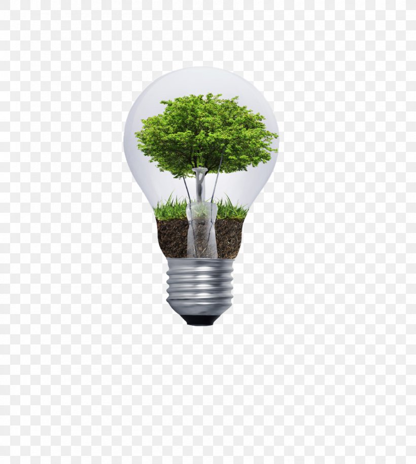 Incandescent Light Bulb Tree, PNG, 895x1000px, Incandescent Light Bulb, Edison Screw, Electric Light, Energy, Flowerpot Download Free