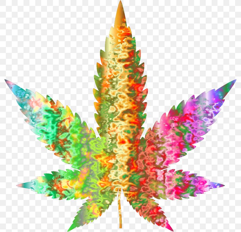 Medical Cannabis Hemp Clip Art, PNG, 790x789px, Cannabis, Cannabis Cultivation, Cannabis Smoking, Christmas Ornament, Drug Download Free