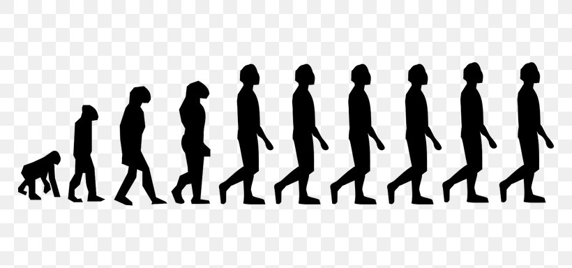 Neandertal Homo Sapiens Human Evolution Primate, PNG, 768x384px, Neandertal, Biology, Black And White, Brand, Charles Darwin Download Free