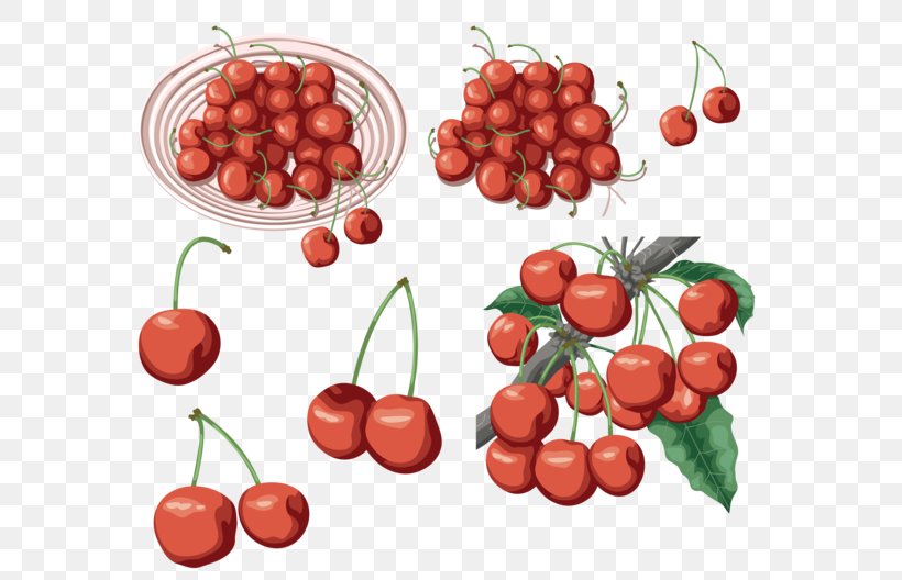 Sweet Cherry Cerasus Food Clip Art, PNG, 600x528px, Cherry, Cerasus, Collage, Diet, Diet Food Download Free
