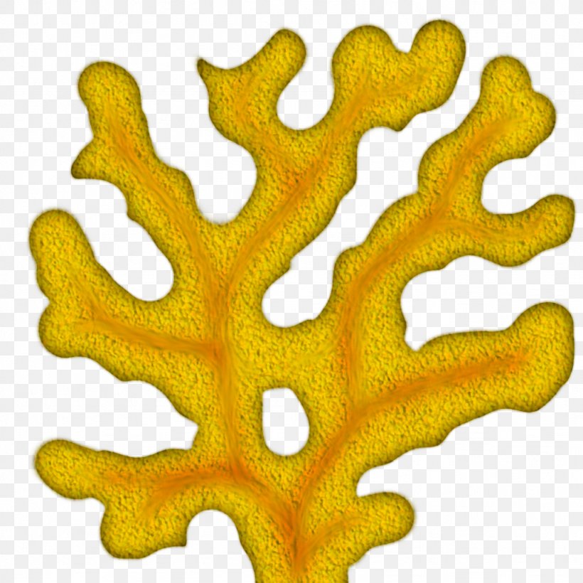 Coral Reef Clip Art, PNG, 1024x1024px, Coral, Color, Coral Reef, Drawing, Invertebrate Download Free