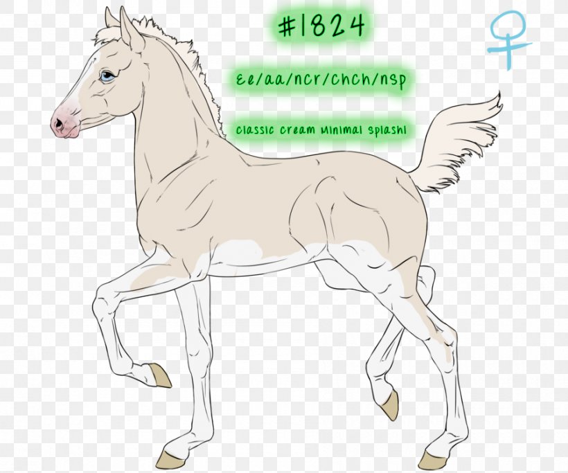 Foal Mane Mustang Bridle Stallion, PNG, 900x750px, Foal, Animal, Animal Figure, Artwork, Bridle Download Free