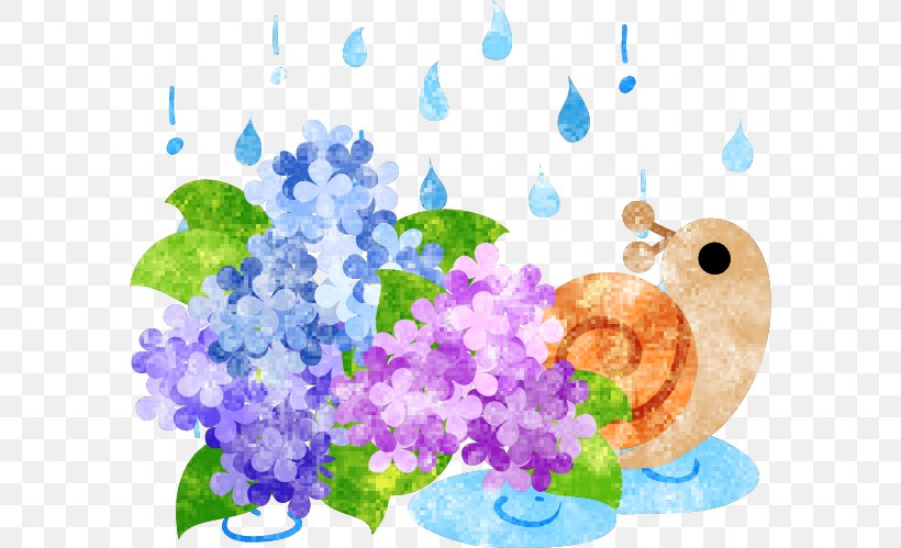 French Hydrangea Floral Design Snail, PNG, 584x499px, French Hydrangea, Art, Bluebonnet, East Asian Rainy Season, Flora Download Free
