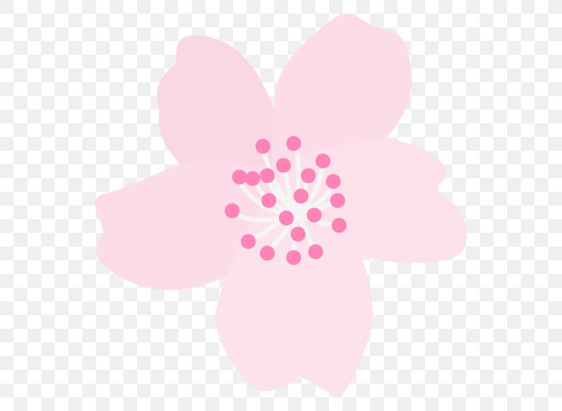 Illustration Cherry Blossom Graphics Image Text, PNG, 600x600px, Cherry Blossom, Blog, Flower, Flowering Plant, Magenta Download Free