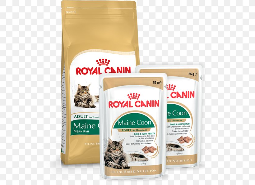 Maine Coon Cat Food British Shorthair Persian Cat Norwegian Forest Cat, PNG, 596x596px, Maine Coon, Breed, British Shorthair, Cat, Cat Food Download Free