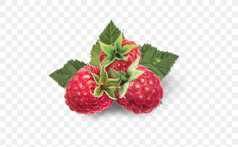 Strawberry Stock Photography Red Raspberry Food, PNG, 575x508px, Strawberry, Aroma, Berry, Black Raspberry, Boysenberry Download Free