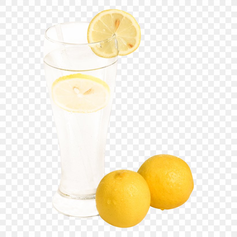 Harvey Wallbanger Lemon Juice Lemon Juice Orange Drink, PNG, 3000x3000px, Harvey Wallbanger, Acid, Citric Acid, Citrus, Drink Download Free