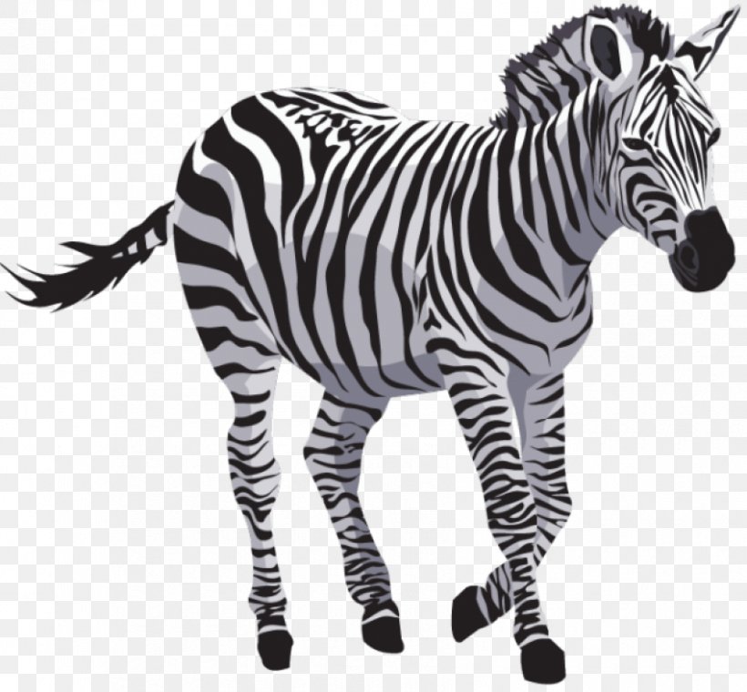 Clip Art Zebra Image Transparency, PNG, 850x788px, Zebra, Animal Figure, Blackandwhite, Fur, Mammal Download Free