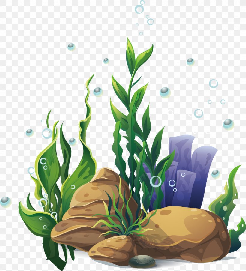 Aquatic Plants Cartoon, PNG, 1045x1152px, Aquatic Plants, Algae, Aquarium Decor, Cartoon, Flora Download Free