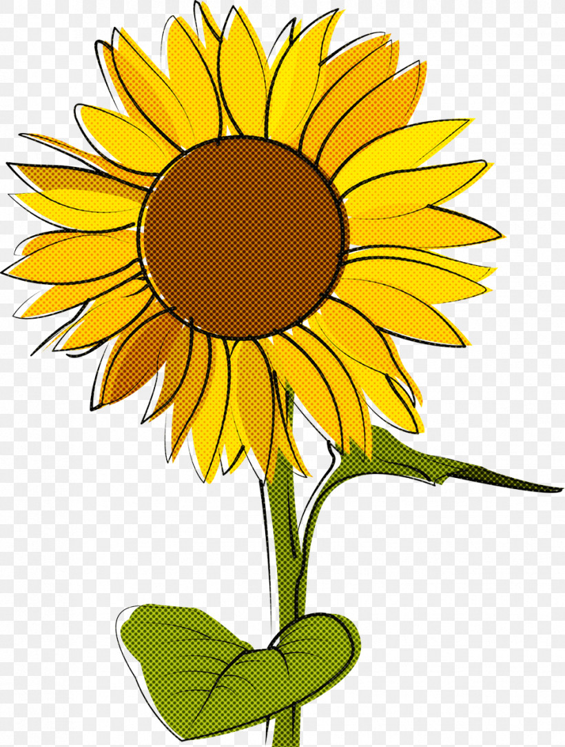 Common Sunflower Flower Drawing Sketch Colored Pencil, PNG, 969x1280px, Common Sunflower, Cartoon, Colored Pencil, Cut Flowers, Drawing Download Free