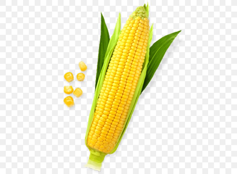 Corn On The Cob Maize Sweet Corn Clip Art, PNG, 600x600px, Corn On The Cob, Commodity, Corn Kernels, Dent Corn, Display Resolution Download Free