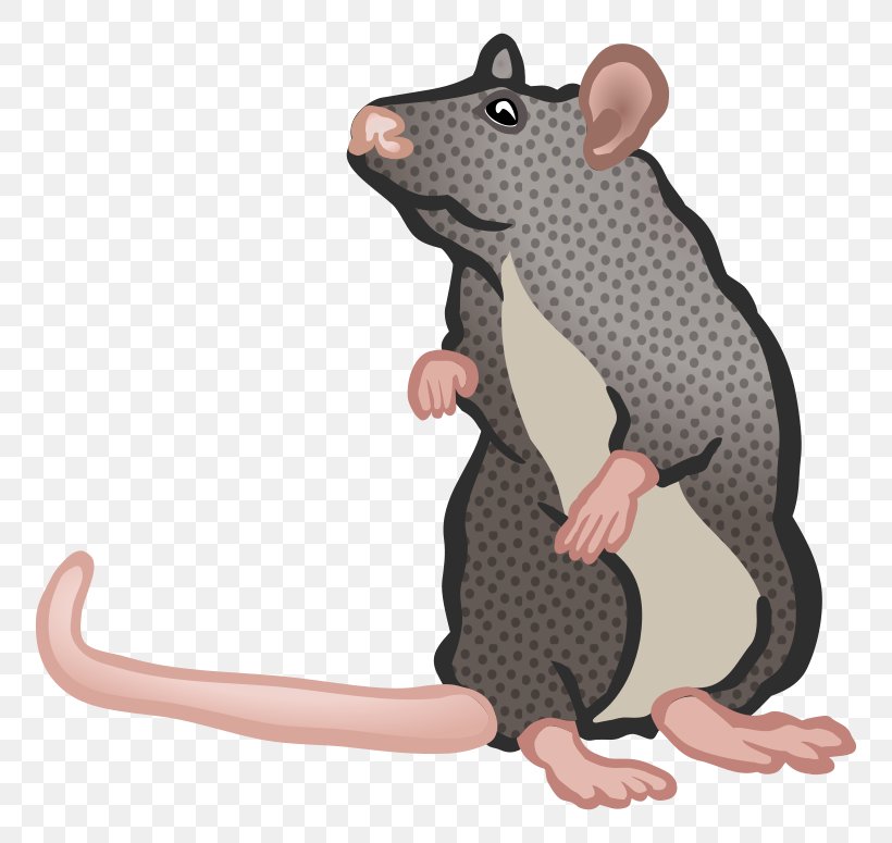 Mouse Blog Clip Art, PNG, 800x775px, Mouse, Art, Black Rat, Blog, Carnivoran Download Free