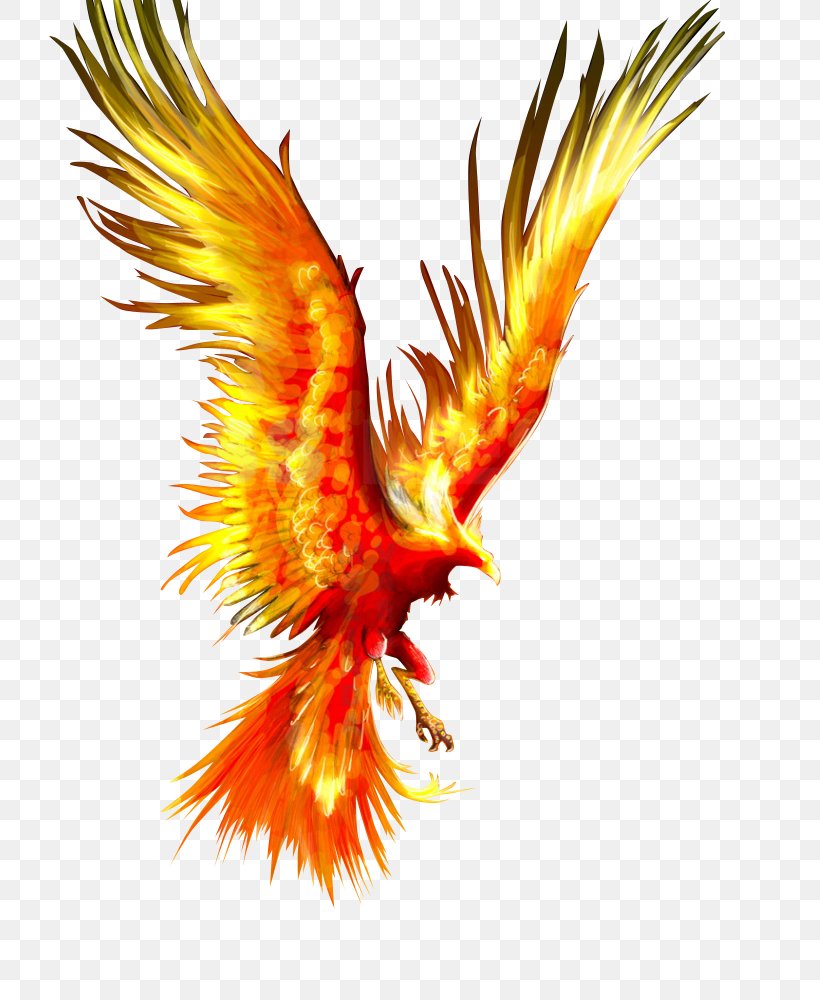 Phoenix Firebird Tattoo Mythology, PNG, 722x1000px, Phoenix, Art, Beak, Bird, Bird Of Prey Download Free