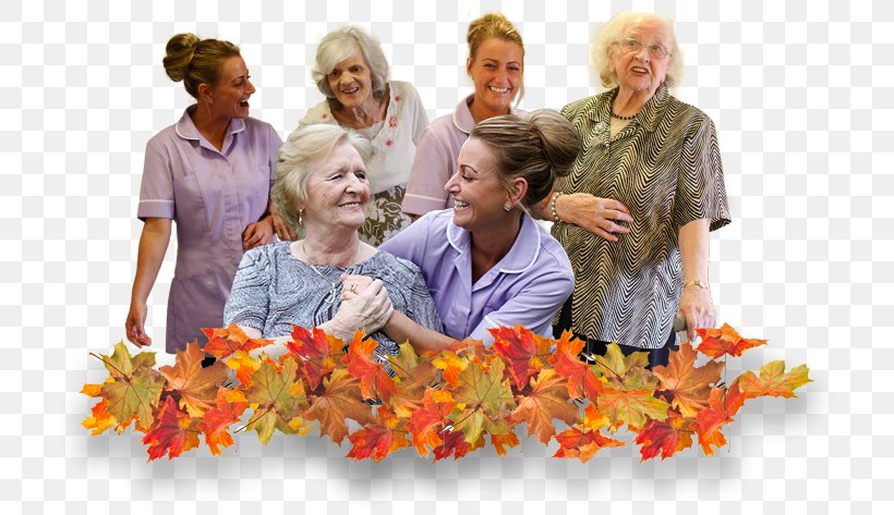 Windermere Grange Care Home Windermere Road Floral Design Disability Social Group, PNG, 732x473px, Floral Design, Behavior, Community, Dementia, Disability Download Free