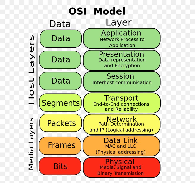 OSI Model Computer Network Conceptual Model Internet Protocol Suite Open Systems Interconnection, PNG, 664x768px, Osi Model, Application Layer, Area, Communication, Communication Protocol Download Free