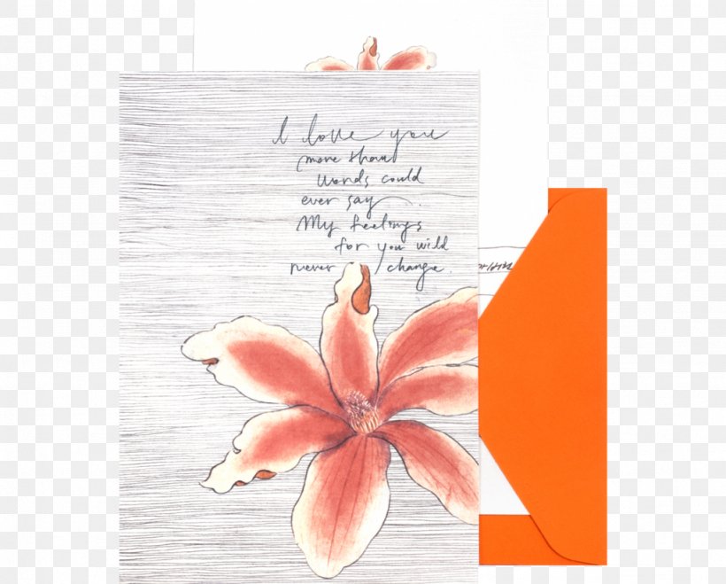 Paper Poster Greeting & Note Cards Stationery, PNG, 1024x823px, Paper, Business, Film Poster, Flora, Flower Download Free