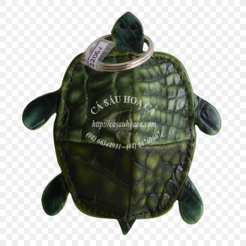 Pond Turtles Tortoise Sea Turtle, PNG, 1000x1000px, Pond Turtles, Emydidae, Reptile, Sea Turtle, Tortoise Download Free