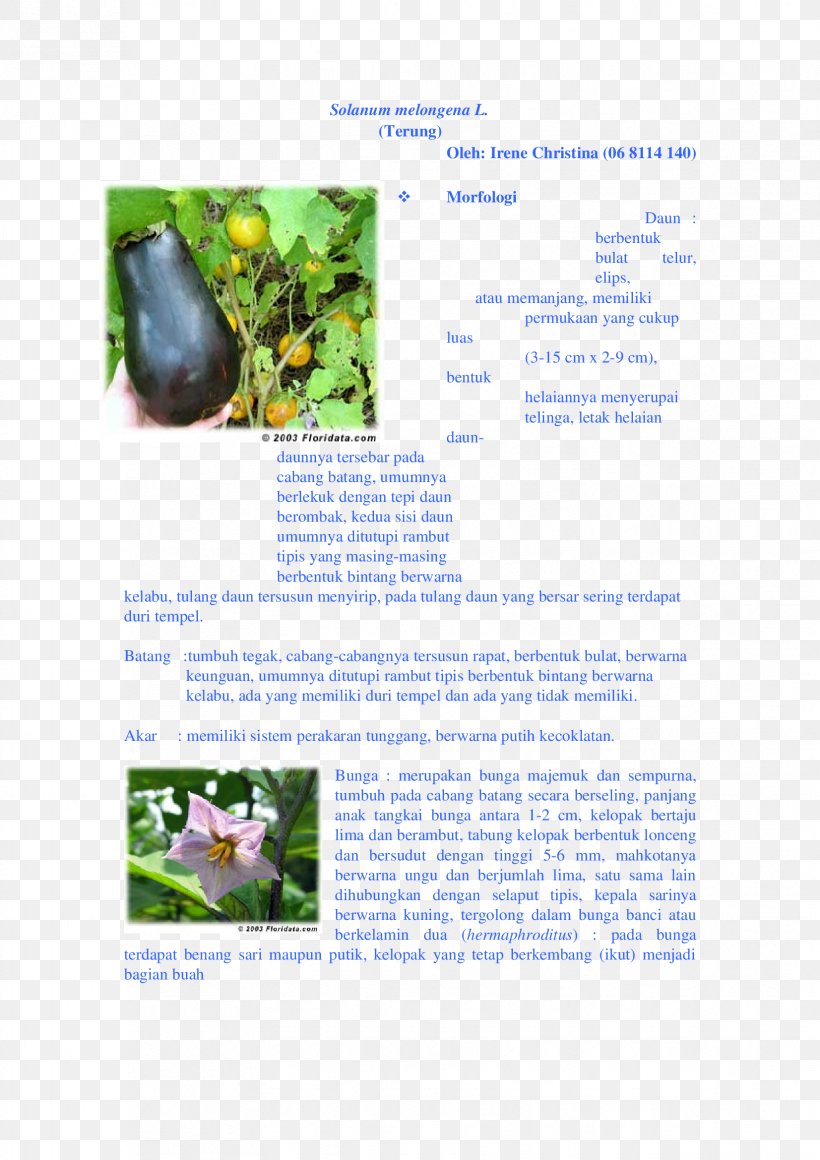 Tree Brochure, PNG, 1653x2339px, Tree, Brochure, Flora, Grass, Organism Download Free