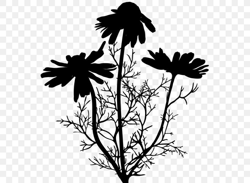 Twig Plant Stem Flower Leaf Clip Art, PNG, 567x600px, Twig, Blackandwhite, Botany, Branch, Flower Download Free