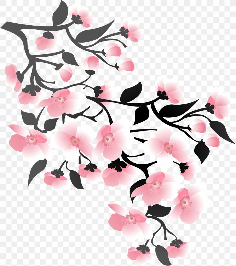 Cherry Blossom Cerasus, PNG, 1676x1891px, Cherry Blossom, Blossom, Branch, Cerasus, Cherry Download Free