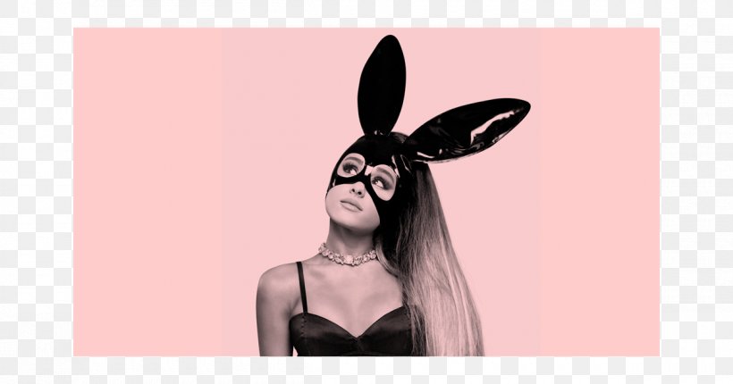 Dangerous Woman Tour One Love Manchester Final Fantasy: Brave Exvius Concert, PNG, 1200x630px, Watercolor, Cartoon, Flower, Frame, Heart Download Free