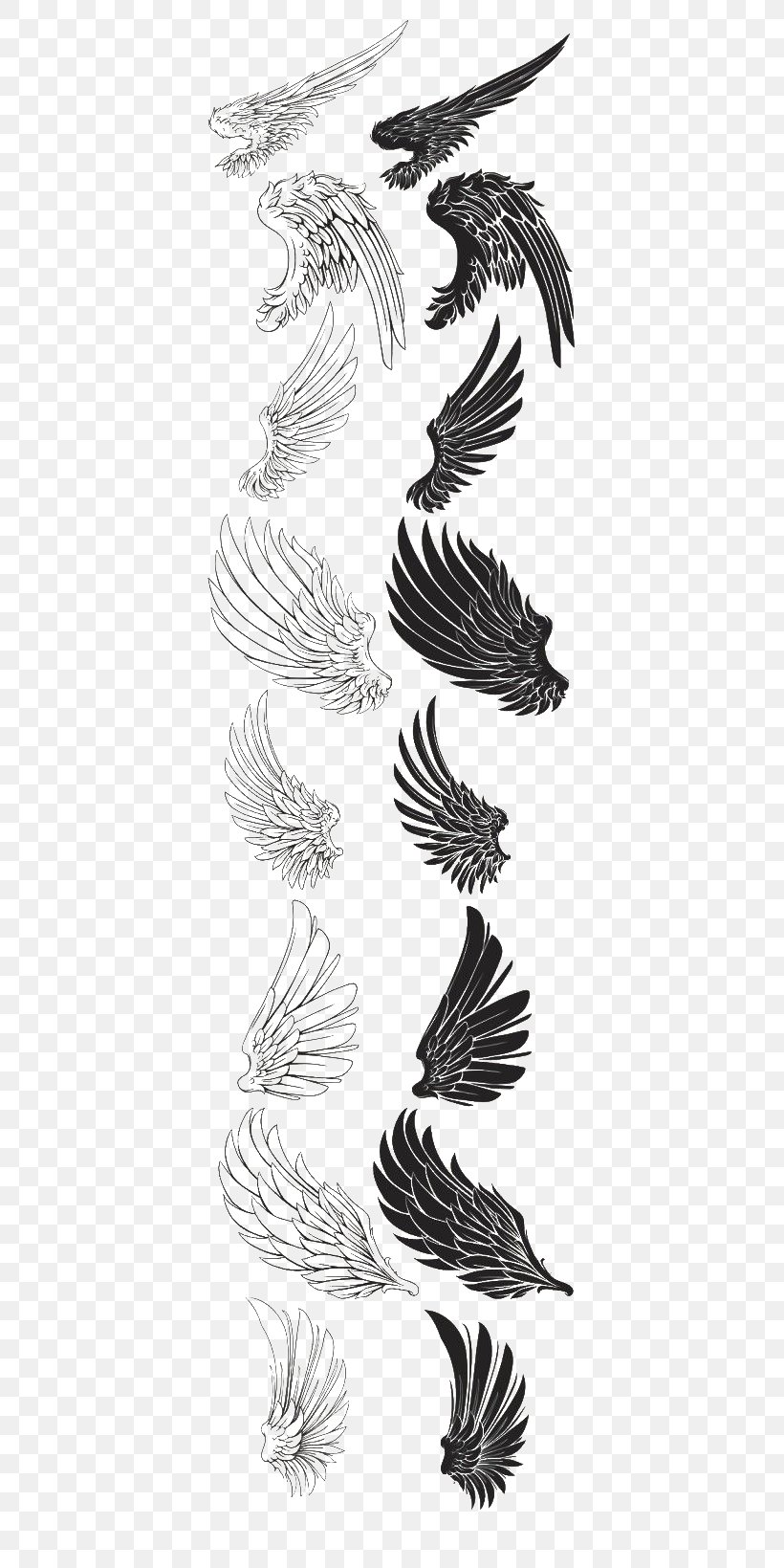Drawing Brush Feather, PNG, 440x1639px, Wing, Black And White, Brush, Drawing, Feather Download Free
